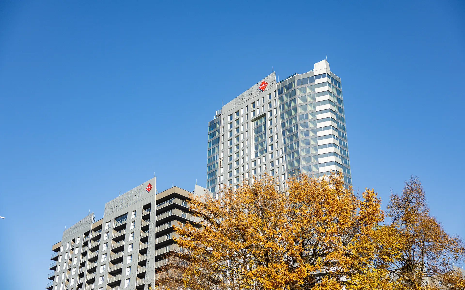 2025.11.26 - Budowa ATAL Olimpijska