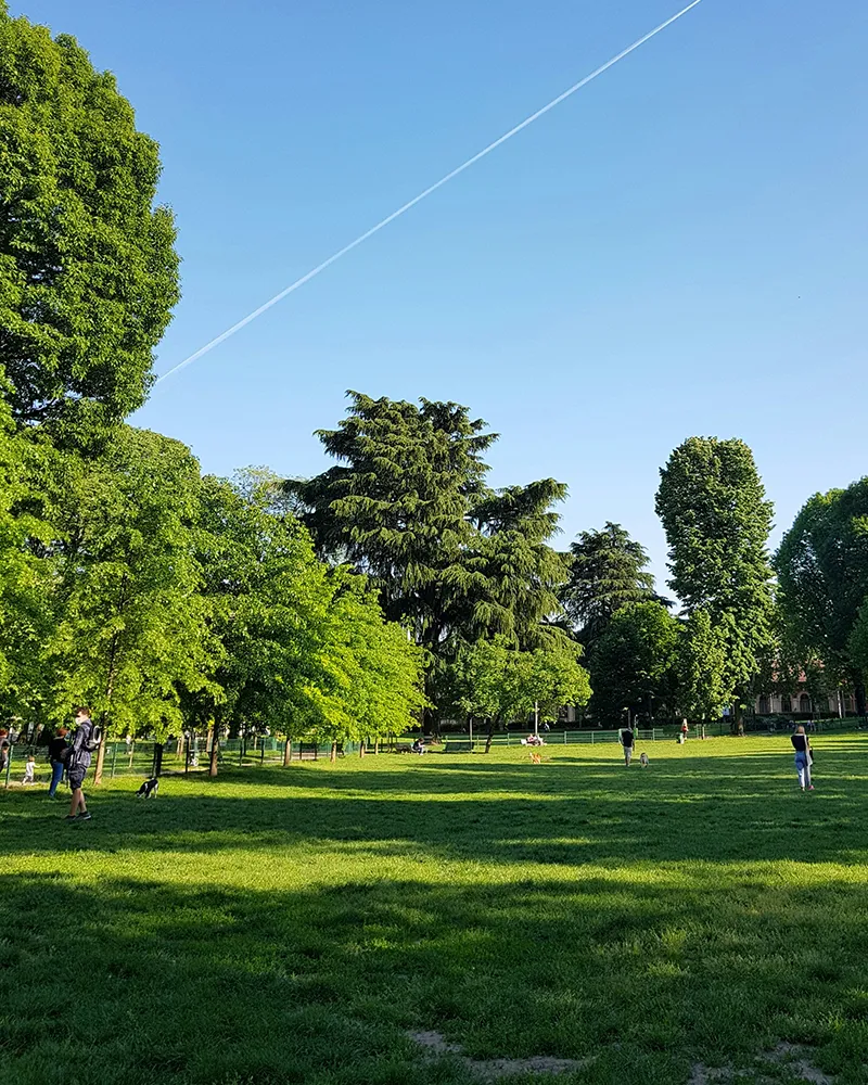 francuskapark_ix_800x1000_11