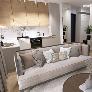 Funkcjonalne układy mieszkań