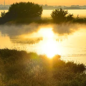 Bliskość rozległych terenów zielonych